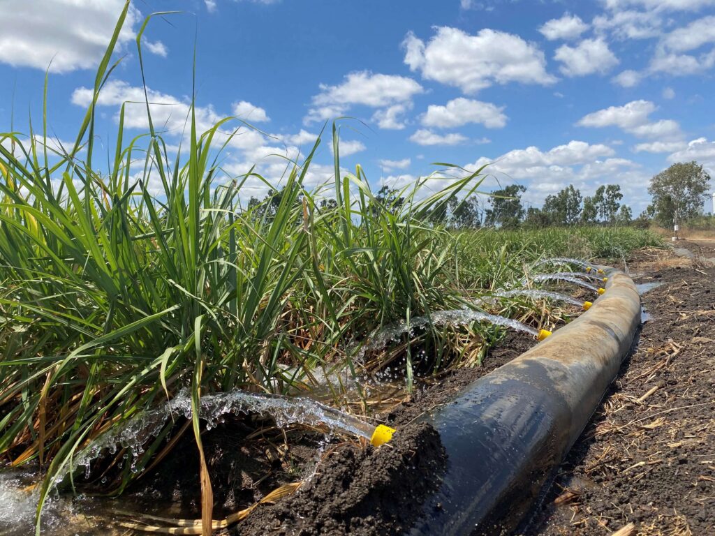 Test - Lower Burdekin Water